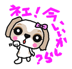 Daily life of the Shih Tzu 1nd sticker #2838233