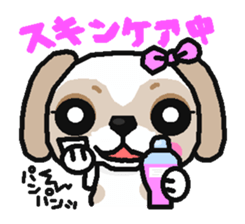 Daily life of the Shih Tzu 1nd sticker #2838235