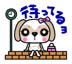 Daily life of the Shih Tzu 1nd sticker #2838239