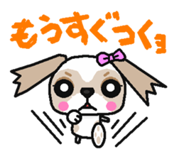 Daily life of the Shih Tzu 1nd sticker #2838242