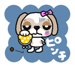 Daily life of the Shih Tzu 1nd sticker #2838247