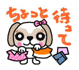 Daily life of the Shih Tzu 1nd sticker #2838248