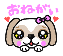 Daily life of the Shih Tzu 1nd sticker #2838252