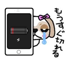 Daily life of the Shih Tzu 1nd sticker #2838259