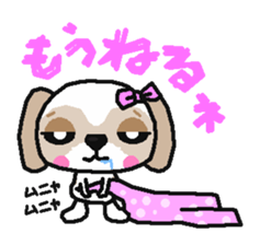 Daily life of the Shih Tzu 1nd sticker #2838264