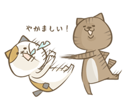 Cat Day5 sticker #2838272