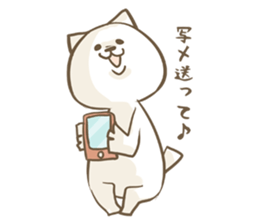 Cat Day5 sticker #2838277