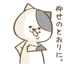 Cat Day5 sticker #2838291