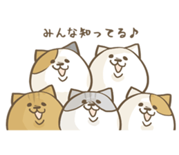 Cat Day5 sticker #2838296