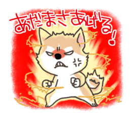 Taro Akita dog of Akita valve sticker #2838789