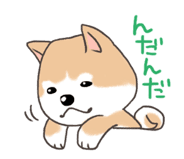 Taro Akita dog of Akita valve sticker #2838796