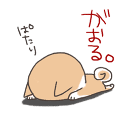 Taro Akita dog of Akita valve sticker #2838798