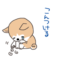 Taro Akita dog of Akita valve sticker #2838801
