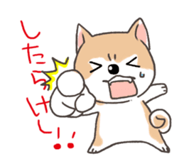 Taro Akita dog of Akita valve sticker #2838803