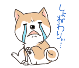 Taro Akita dog of Akita valve sticker #2838807