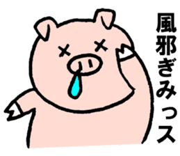 Funny pig "Boo-chan" sticker #2839023