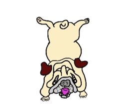 Naughty pug-chan sticker #2841102
