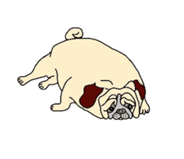 Naughty pug-chan sticker #2841104