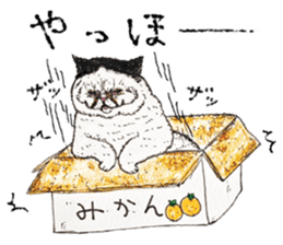 Strange world of cats 2 sticker #2842828