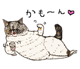 Strange world of cats 2 sticker #2842845