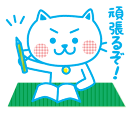 Everyday of cute white cat sticker #2844974