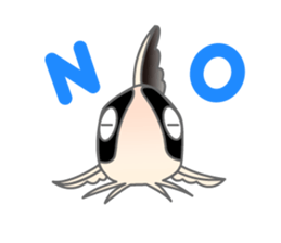 everyday Panda, the Corydoras sticker #2845365