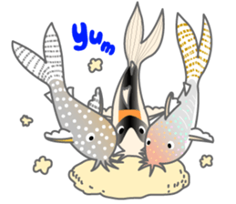 everyday Panda, the Corydoras sticker #2845367
