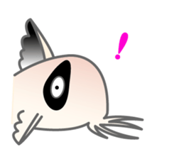 everyday Panda, the Corydoras sticker #2845369