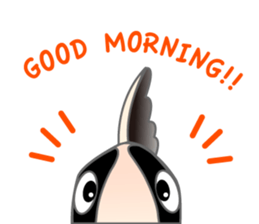 everyday Panda, the Corydoras sticker #2845372