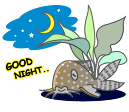 everyday Panda, the Corydoras sticker #2845376