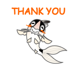 everyday Panda, the Corydoras sticker #2845380