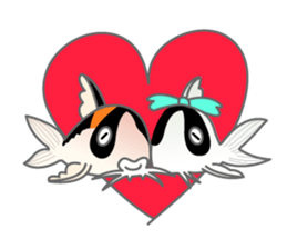 everyday Panda, the Corydoras sticker #2845384