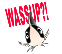 everyday Panda, the Corydoras sticker #2845388