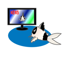 everyday Panda, the Corydoras sticker #2845394