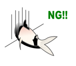 everyday Panda, the Corydoras sticker #2845397