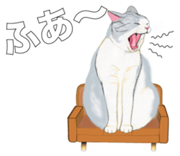 My couch sticker #2846927