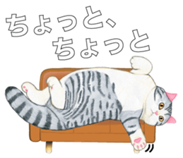 My couch sticker #2846929