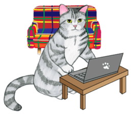 My couch sticker #2846950