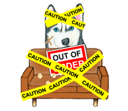 My couch sticker #2846953