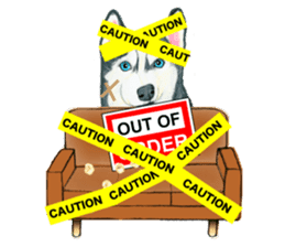 My couch sticker #2846953