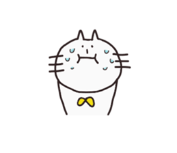 Cat's name: Jack sticker #2848047