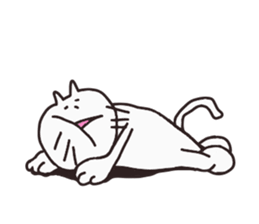 Cat's name: Jack sticker #2848048