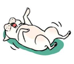 BUHI DOG(English ver.) sticker #2861743