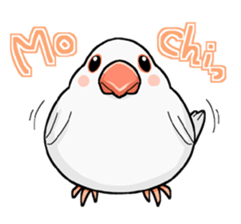 Cute Java sparrow stamp sticker #2862283