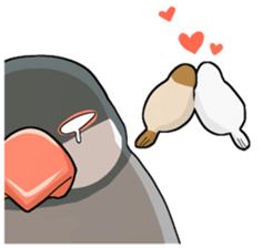 Cute Java sparrow stamp sticker #2862291