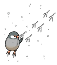 Cute Java sparrow stamp sticker #2862298