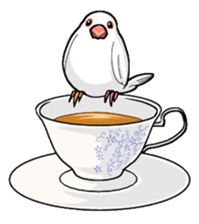 Cute Java sparrow stamp sticker #2862301