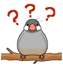 Cute Java sparrow stamp sticker #2862302