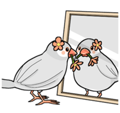 Cute Java sparrow stamp sticker #2862304