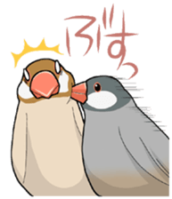 Cute Java sparrow stamp sticker #2862319